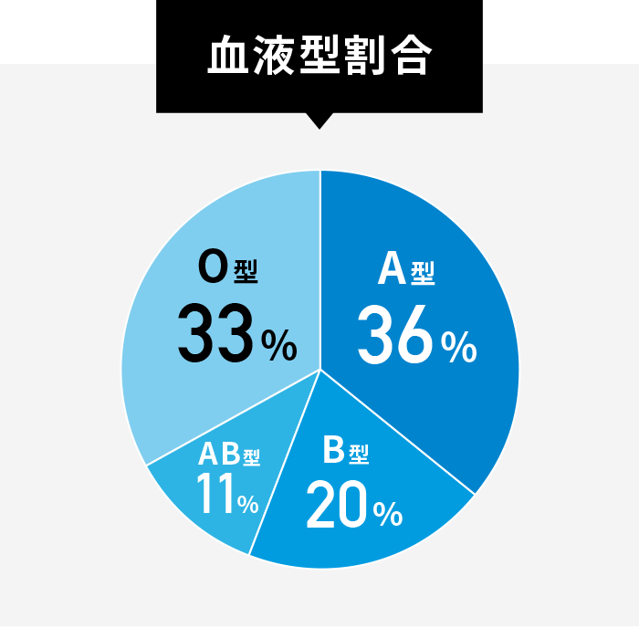 血液型割合 A型36％、B型20％、AB型11％、O型33％ 